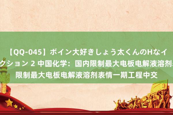 【QQ-045】ボイン大好きしょう太くんのHなイタズラ BESTセレクション 2 中国化学：国内限制最大电板电解液溶剂表情一期工程中交