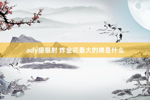 ady狠狠射 炸金花最大的牌是什么