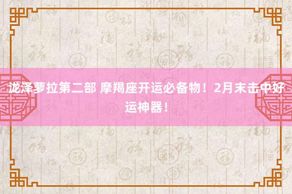 泷泽萝拉第二部 摩羯座开运必备物！2月末击中好运神器！