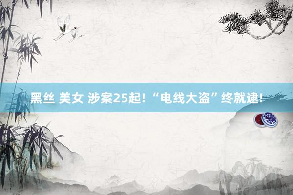 黑丝 美女 涉案25起! “电线大盗”终就逮!