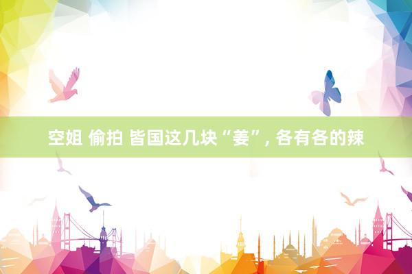空姐 偷拍 皆国这几块“姜”, 各有各的辣