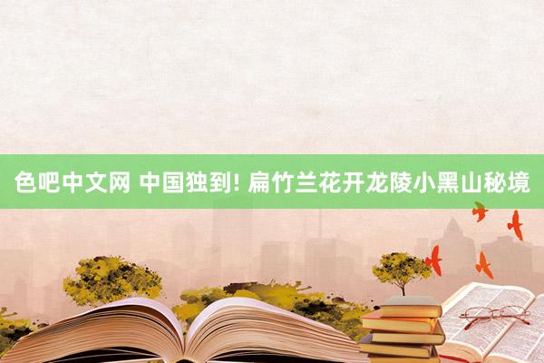 色吧中文网 中国独到! 扁竹兰花开龙陵小黑山秘境