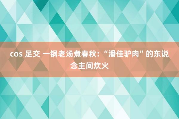 cos 足交 一锅老汤煮春秋: “潘佳驴肉”的东说念主间炊火