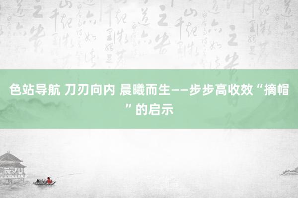 色站导航 刀刃向内 晨曦而生——步步高收效“摘帽”的启示