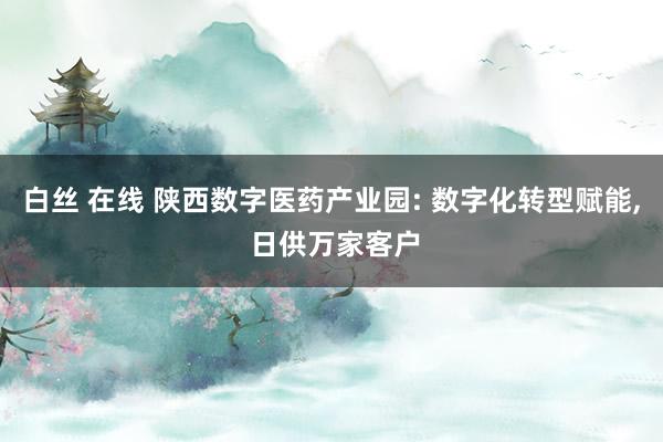 白丝 在线 陕西数字医药产业园: 数字化转型赋能, 日供万家客户