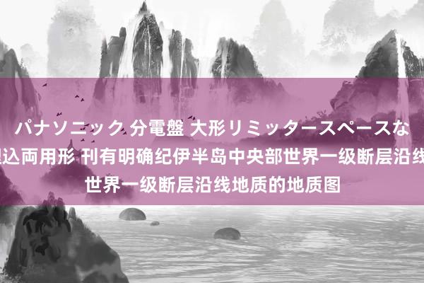 パナソニック 分電盤 大形リミッタースペースなし 露出・半埋込両用形 刊有明确纪伊半岛中央部世界一级断层沿线地质的地质图