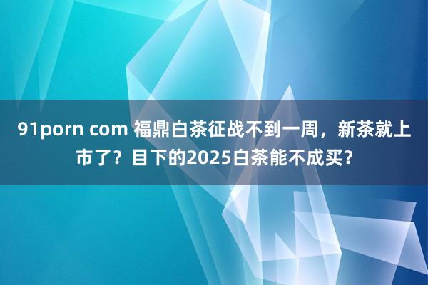 91porn com 福鼎白茶征战不到一周，新茶就上市了？目下的2025白茶能不成买？