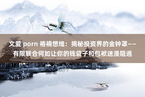 文爱 porn 袼褙想维：揭秘投资界的金钟罩——有限联合何如让你的钱袋子和包袱迷漫阻遏