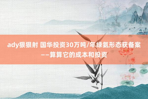 ady狠狠射 国华投资30万吨/年绿氨形态获备案——算算它的成本和投资