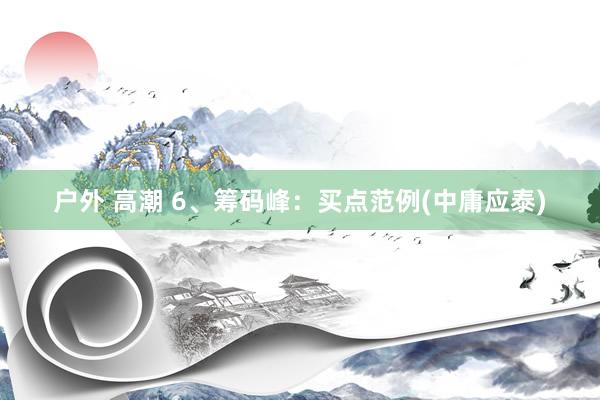 户外 高潮 6、筹码峰：买点范例(中庸应泰)