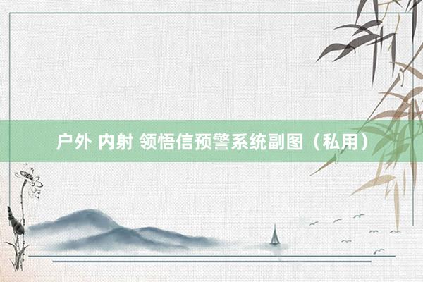 户外 内射 领悟信预警系统副图（私用）