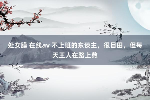 处女膜 在线av 不上班的东谈主，很目田，但每天王人在路上熬